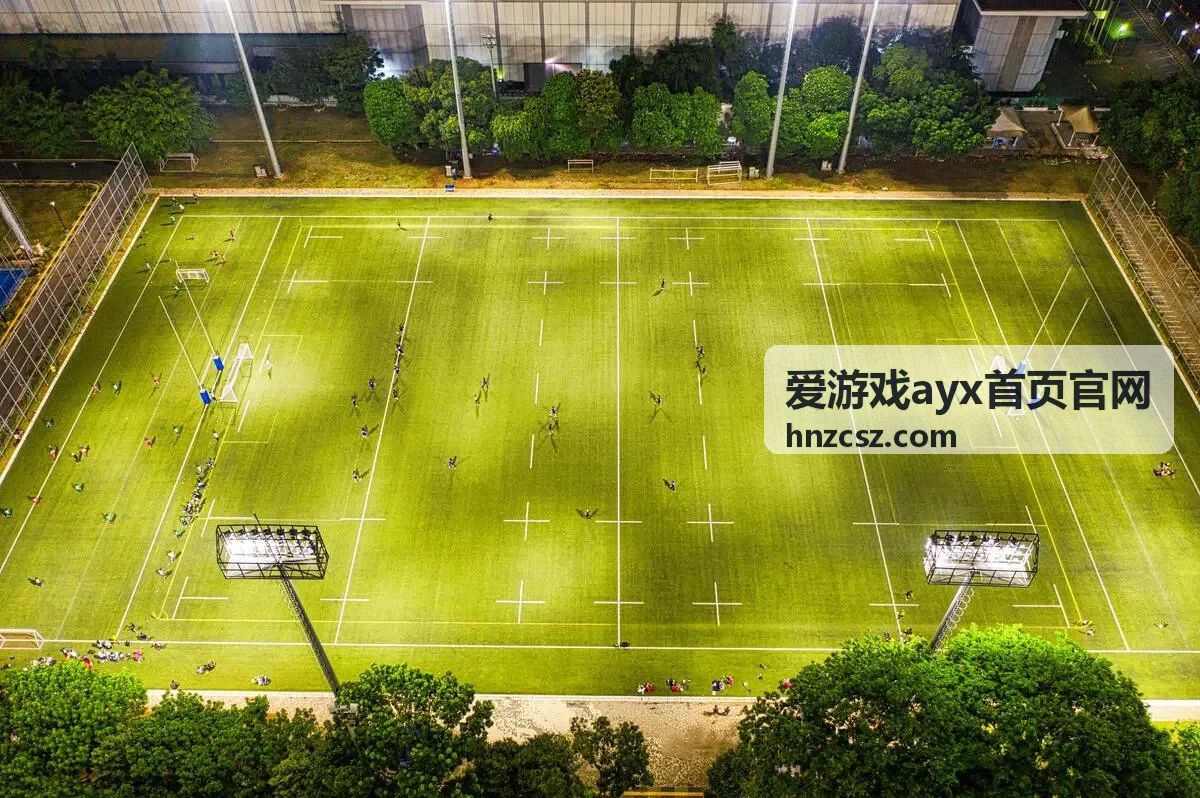 爱游戏ayx首页官网 新游速递入口封面